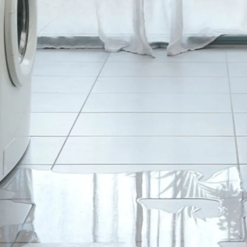Appliance Leak Cleanup in Savoy, IL