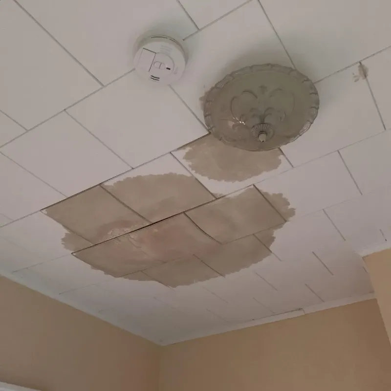 Ceiling Water Damage Repair in Savoy, IL