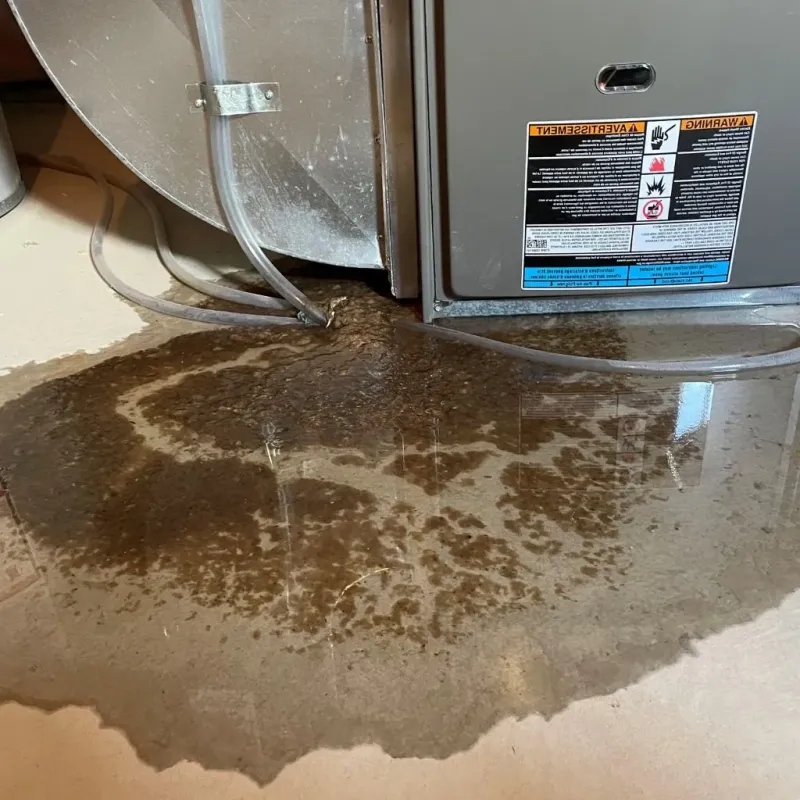 Pipe Burst and Leak Restoration in Savoy, IL