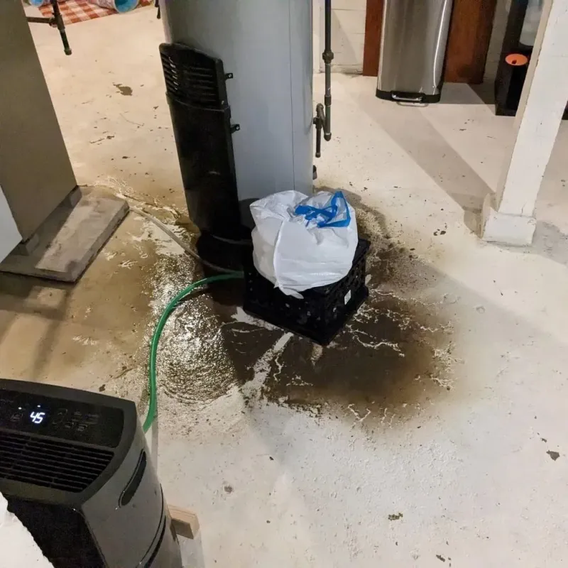 Sewage Backup Cleanup Service in Savoy, IL
